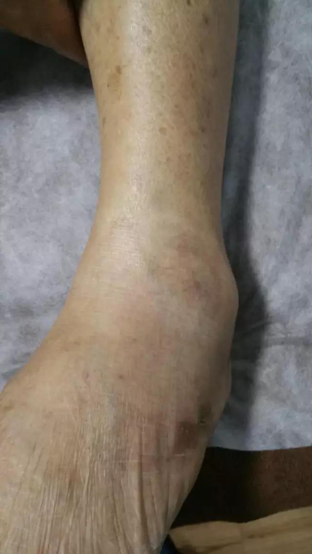 ×ðÁú¿Ê±--ÈËÉú¾ÍÊDz©-¹ÙÍøAPP